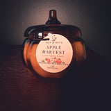 Apple Harvest